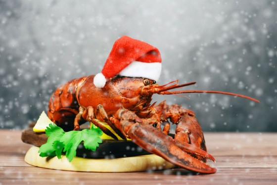 shellfish_christmas