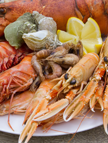 Seafood Platters