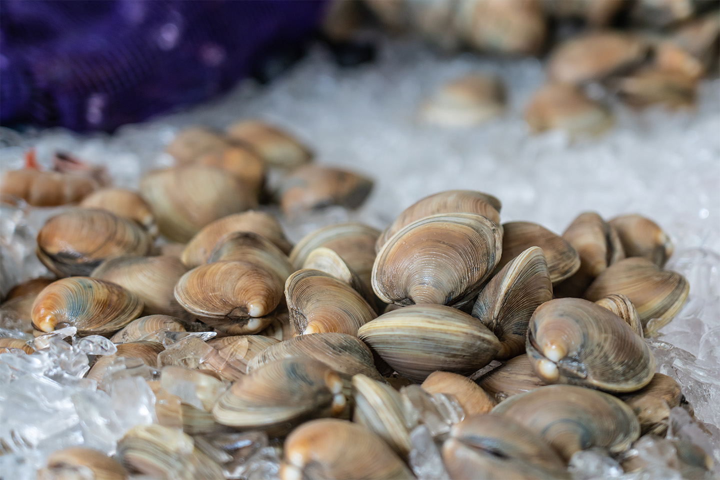 Clams Poulardes