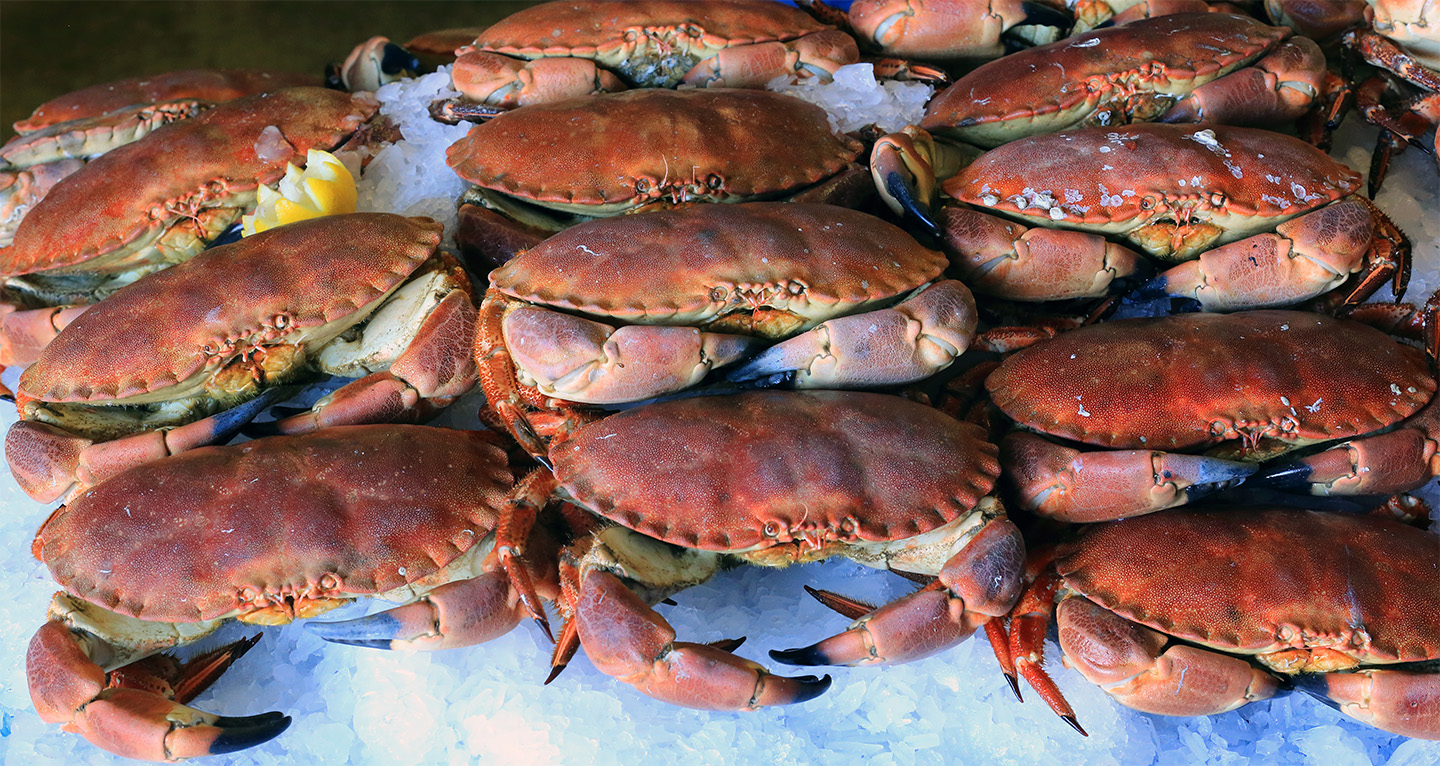 Crab whole and cooked fresh