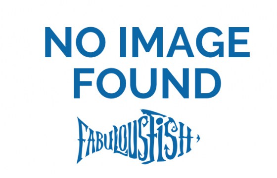 noimage_ff